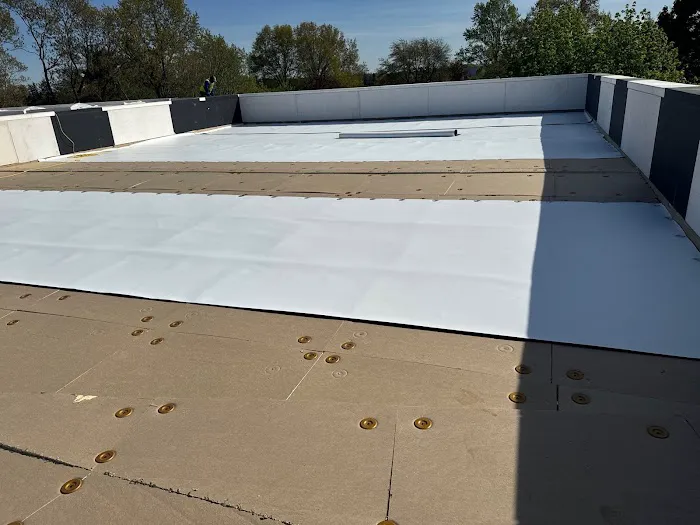 MM Dynamic of New York Picture 7