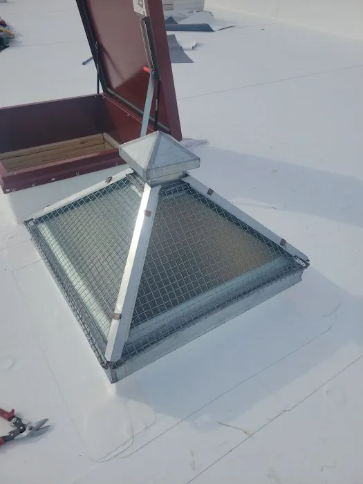 MM Dynamic of New York Picture 2