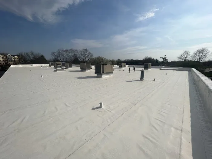 Flat Roof Solutions Picture 3