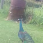 Fisher's Roofing & Siding