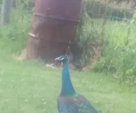 Fisher's Roofing & Siding