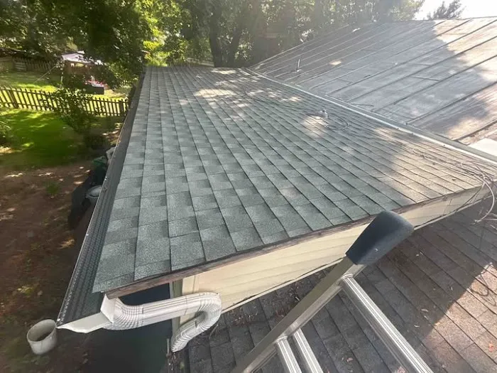 DePalma Roofing Picture 2