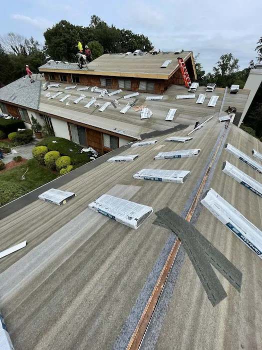 Easy Roofing Picture 8