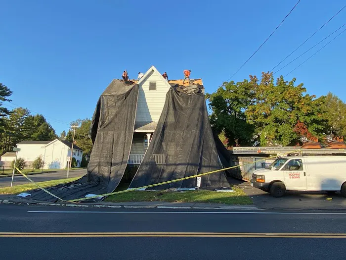 Easy Roofing Picture 3