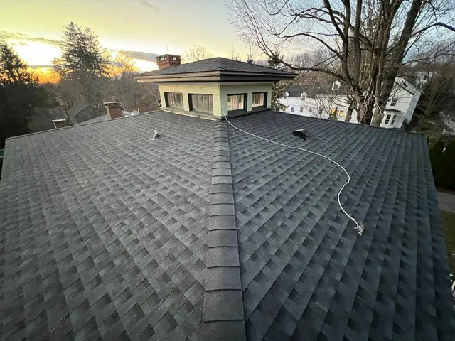 Paramount Professional Roofing Picture 2