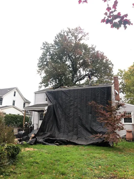 Armor Shield Exteriors Picture 1