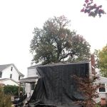 Armor Shield Exteriors