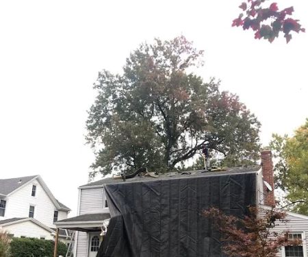 Armor Shield Exteriors