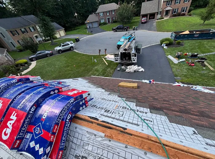 Rain Drainz Picture 4