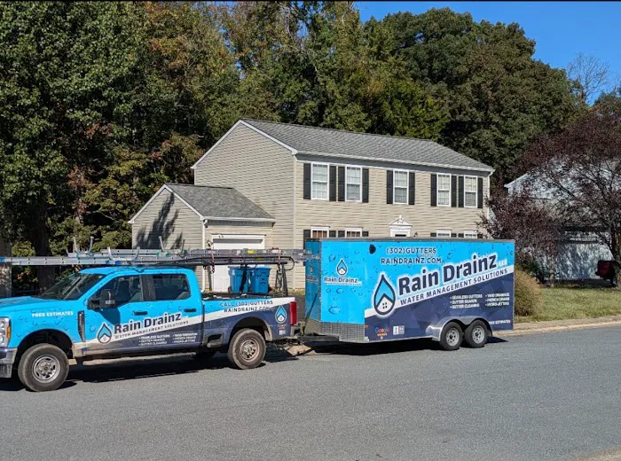 Rain Drainz Picture 7