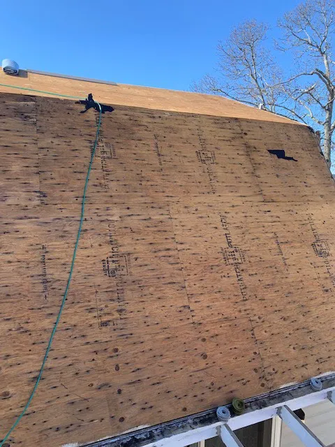 Champion Exteriors Picture 1