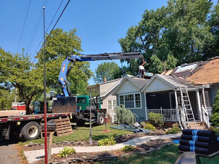 Rare breed construction Picture 10