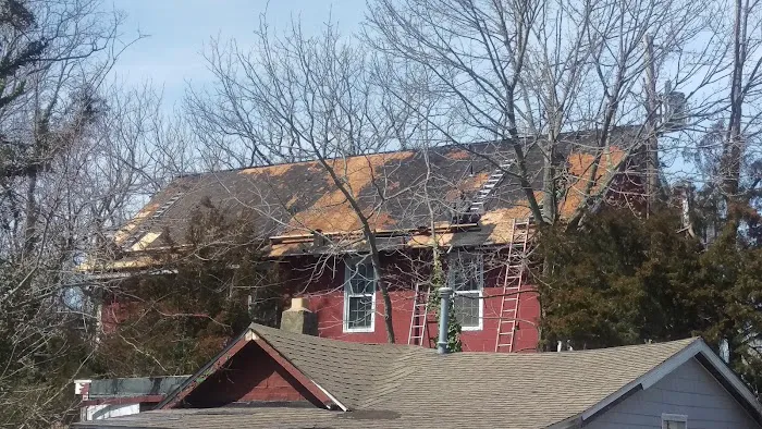 Rare breed construction Picture 1