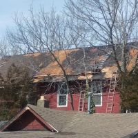 Rare breed construction ico