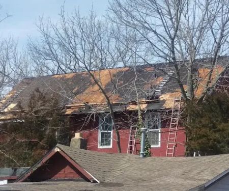 Rare breed construction