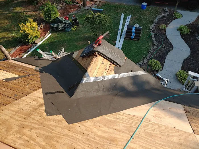 Rare breed construction Picture 8