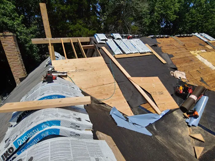 Rare breed construction Picture 2