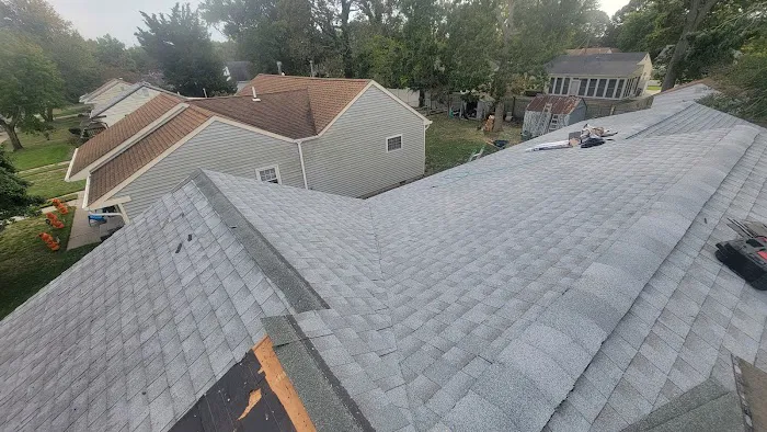 Rare breed construction Picture 5