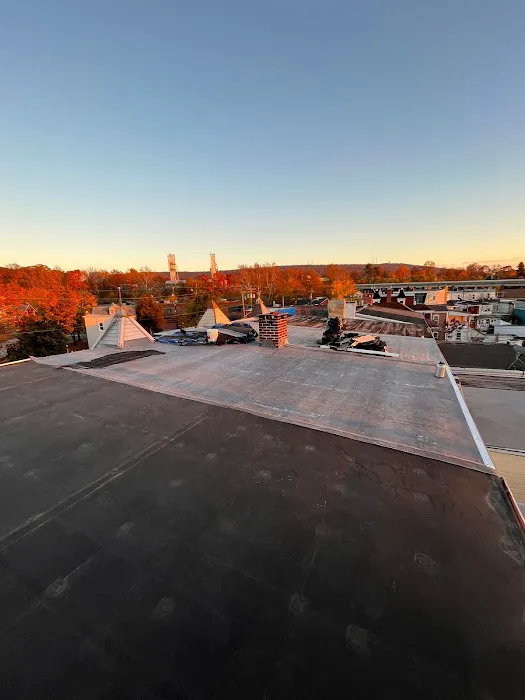 Unity Roofing Systems Picture 2