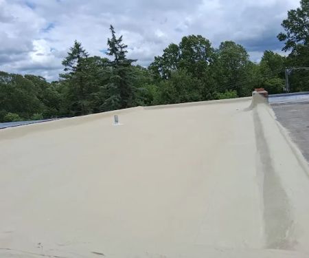 Meadowview Roof Coatings LLC