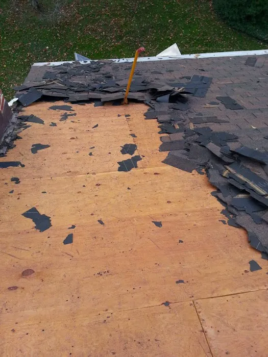 Benji's Roofing Picture 8