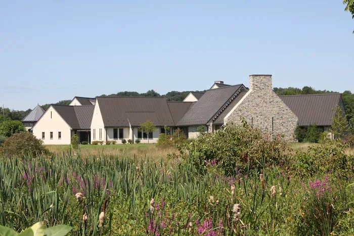 GSM Roofing Picture 5