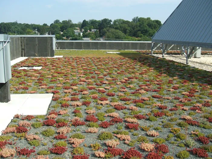 GSM Roofing Picture 10