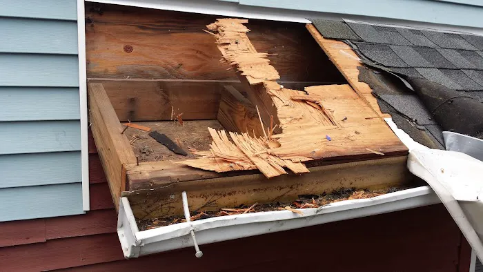 Stratos Roofing Company. Picture 7