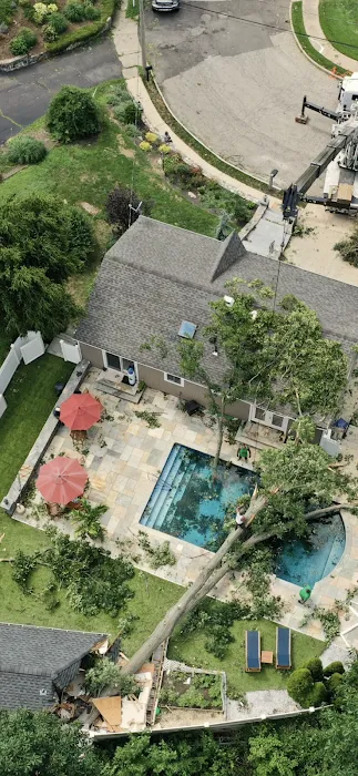 Apex Exteriors LLC Picture 8