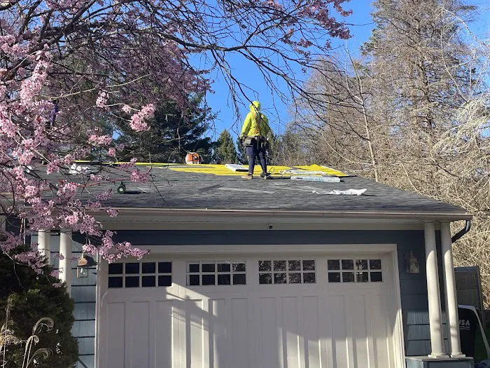 PAOLINO ROOFING Picture 4