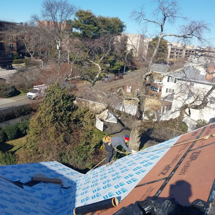 Reyes Roof Construction llc (Roofingkings) Picture 4