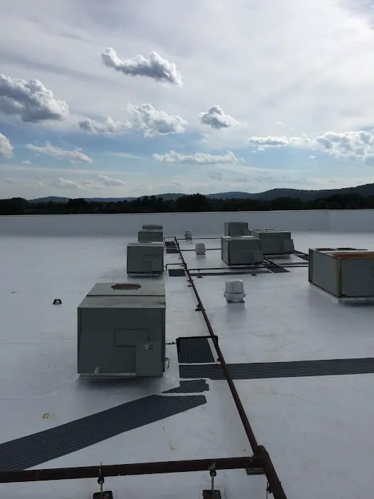 DDP Roofing Services, Inc. Picture 8