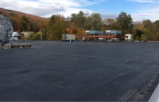 DDP Roofing Services, Inc. Picture 1