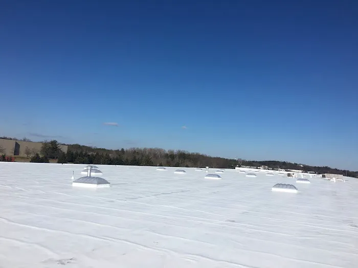 DDP Roofing Services, Inc. Picture 4