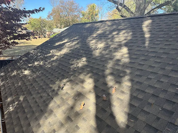 Roofing Solutions Delaware Picture 6