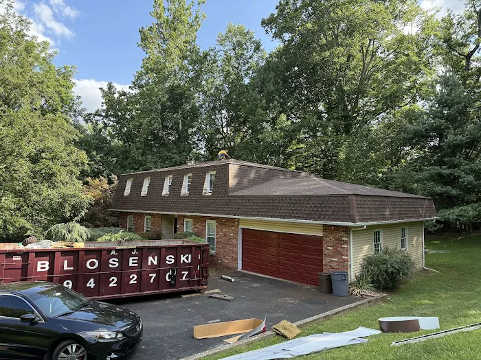 Roofing Solutions Delaware Picture 2