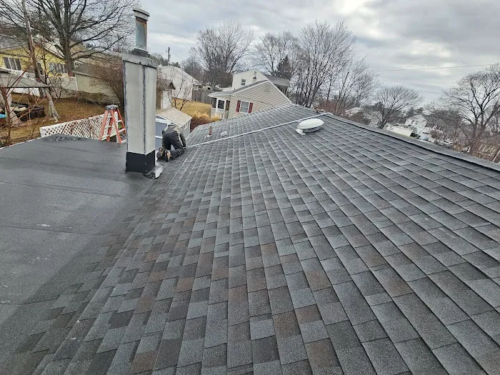 BluDog ROOFING, LLC Picture 5