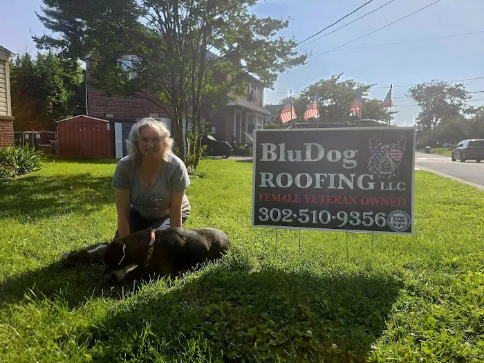 BluDog ROOFING, LLC Picture 7