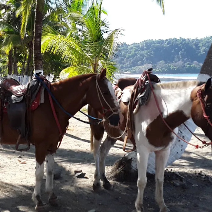 Springer Brothers Picture 4