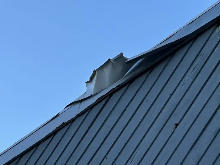 Springer Brothers Picture 3