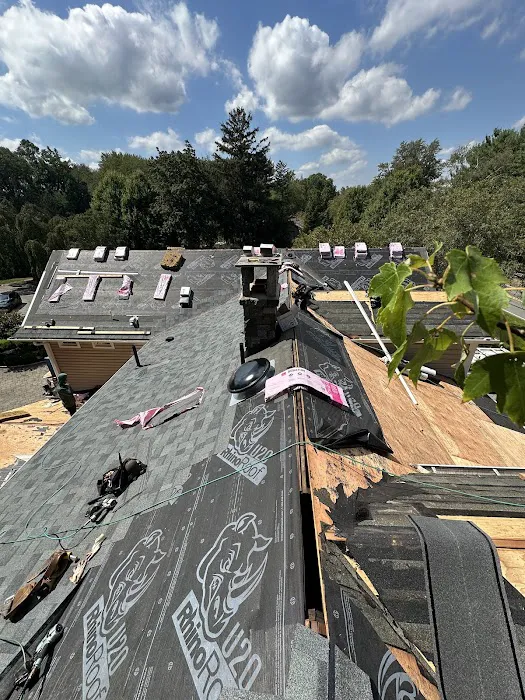 Eagle Exteriors Picture 7