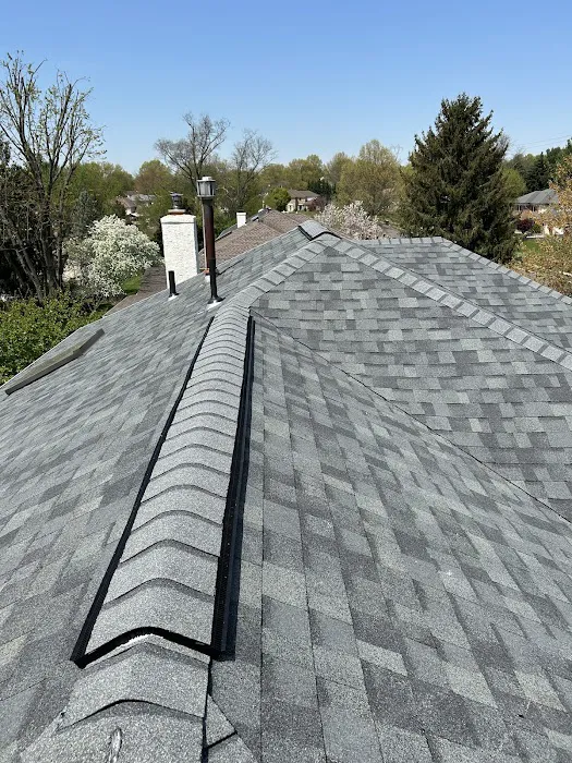 Eagle Exteriors Picture 6