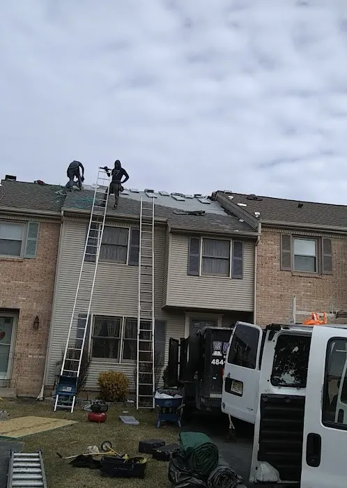 Melava llc Picture 2