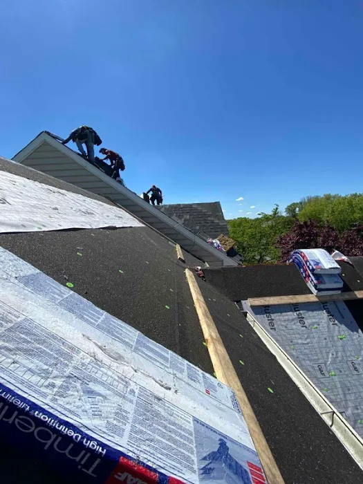 Pro Edge Roofing Picture 6