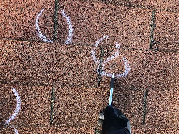 Armored Exteriors Roofing Picture 10