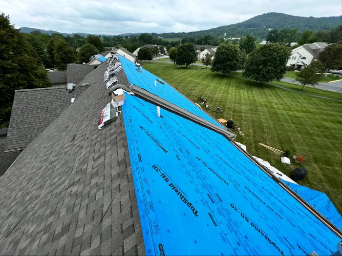 Armored Exteriors Roofing Picture 6