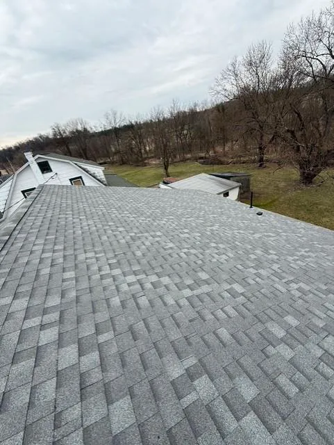 Ludwig Roofing and Repair Inc Picture 3