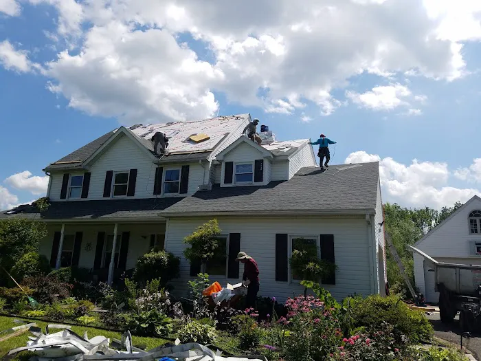 Bls Roofing Picture 1