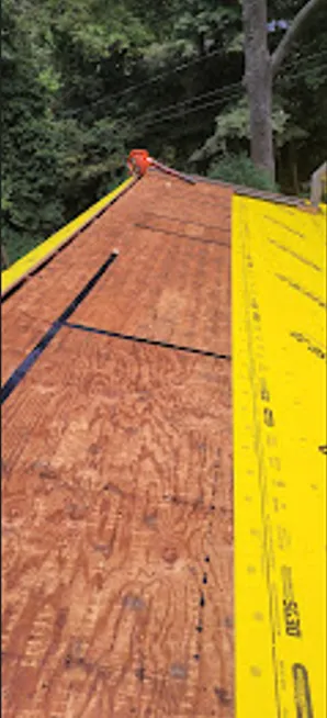 Hector r painting Picture 7