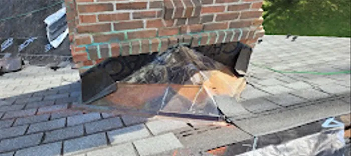 Hector r painting Picture 5